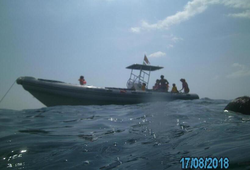 Miramare B&b Di Cerri Maria