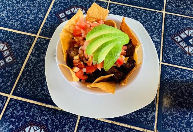 بنسيون Cabinas Jacomar