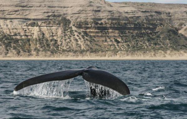 فندق صغير Del Nomade Hosteria Ecologica