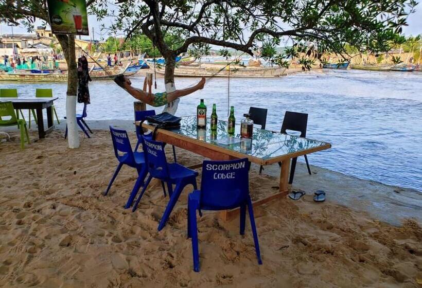 هاستل Scorpion Hill Lodge