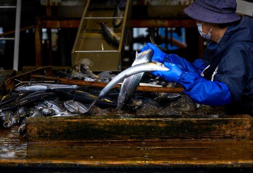 مبيت وإفطار Cafe & Bb Guri