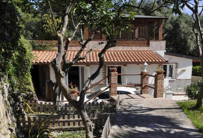 住宿加早餐 Small Paradise Palermo