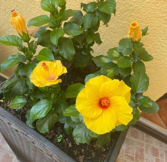 민박 Zalacsány Toscana étterem Panzió