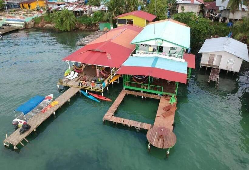 Hostal Green Coast   Hostel