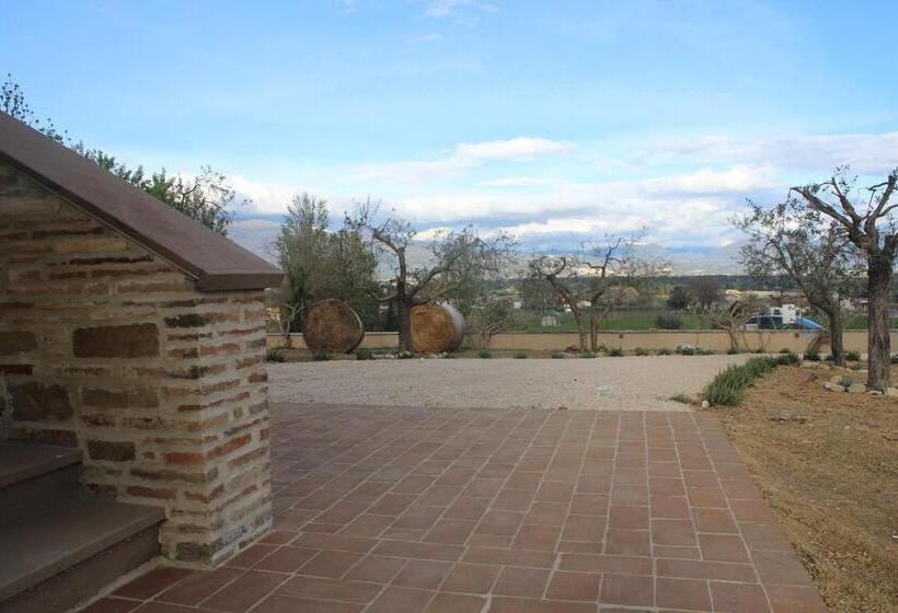 Отель Agriturismo Qui E Ora