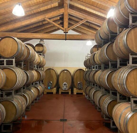 호텔 Agriturismo Viticcio