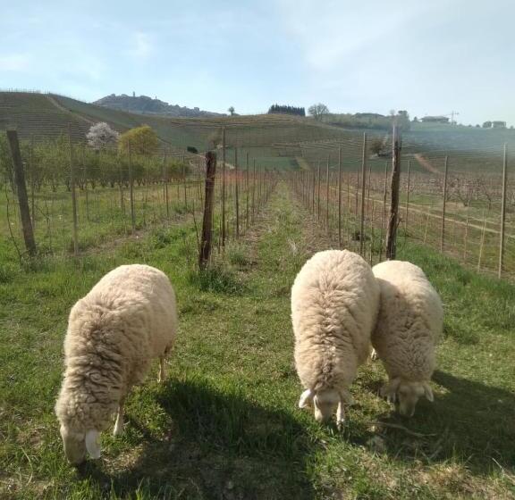 호텔 Agriturismo Viticcio