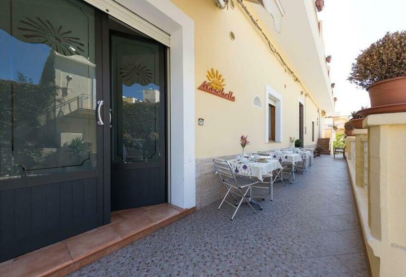 هتل Albergo Moschella