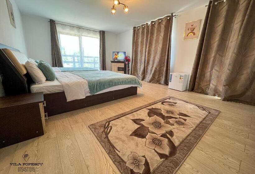 Отель Casa Popescu