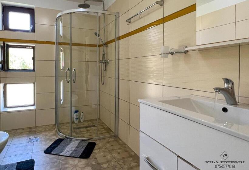 Отель Casa Popescu