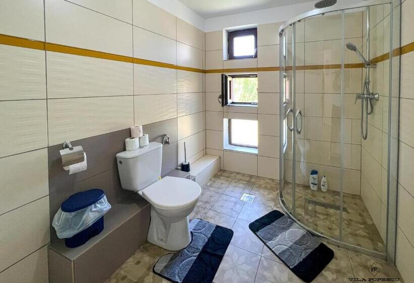 Отель Casa Popescu