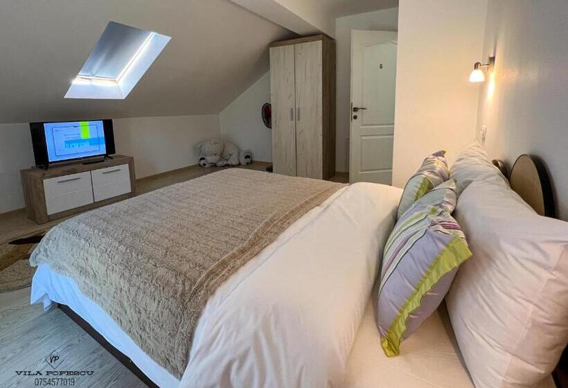 Отель Casa Popescu