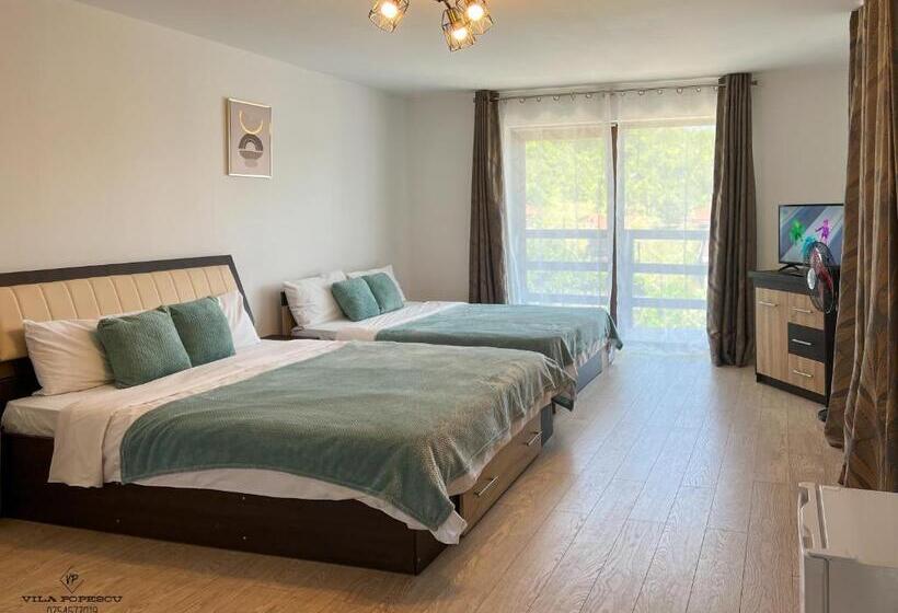 Отель Casa Popescu