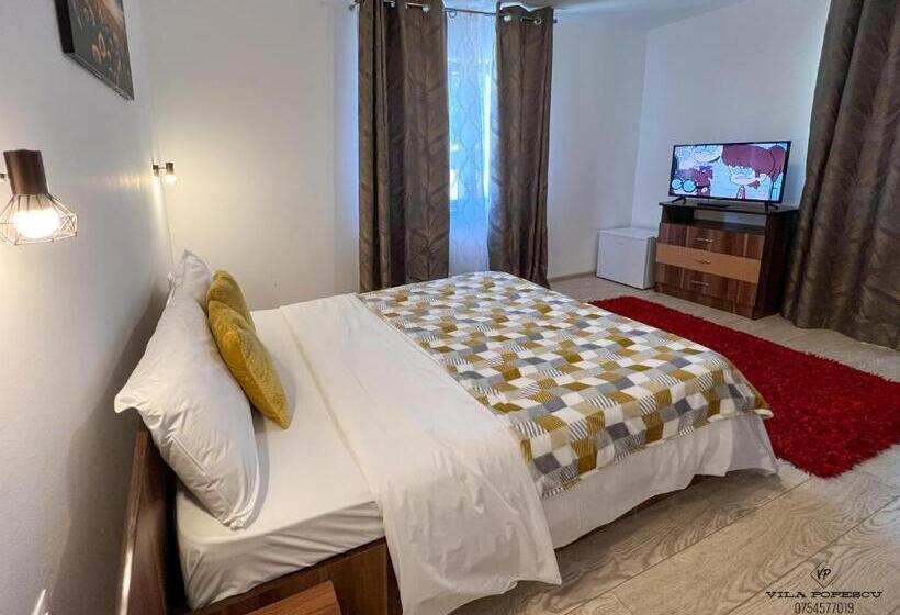 Отель Casa Popescu