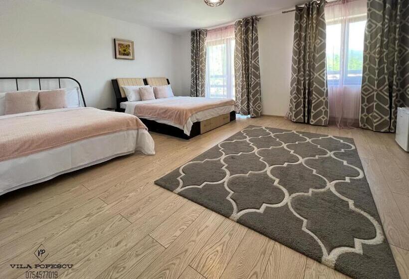 Отель Casa Popescu