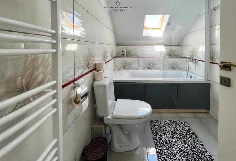 Отель Casa Popescu