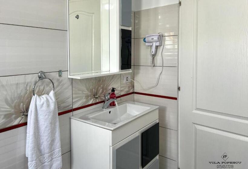 Отель Casa Popescu