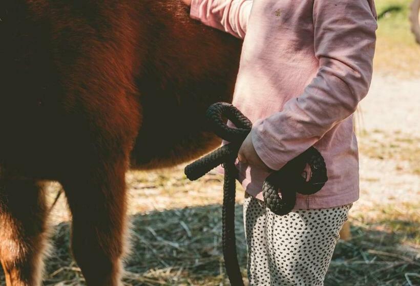 Familienhotel Replerhof