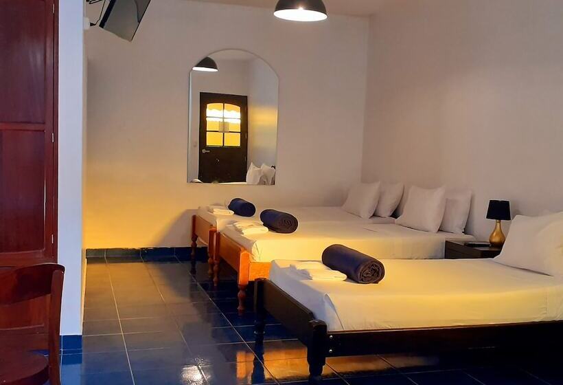 ホテル Puerto Azul Sauce