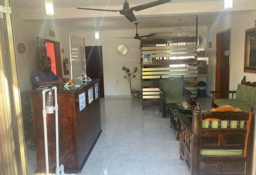 فندق Villa Carmita