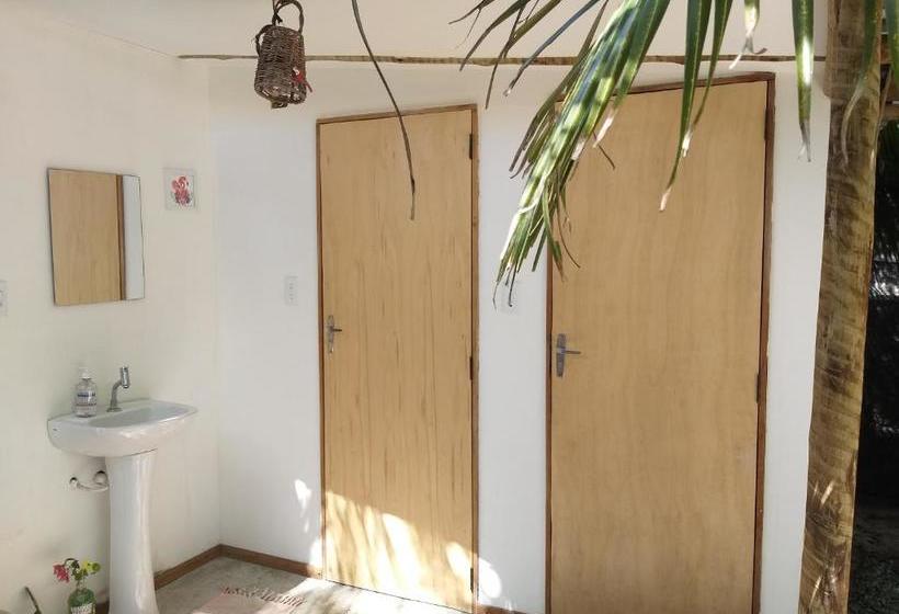 Indiana Kite School And Hostel