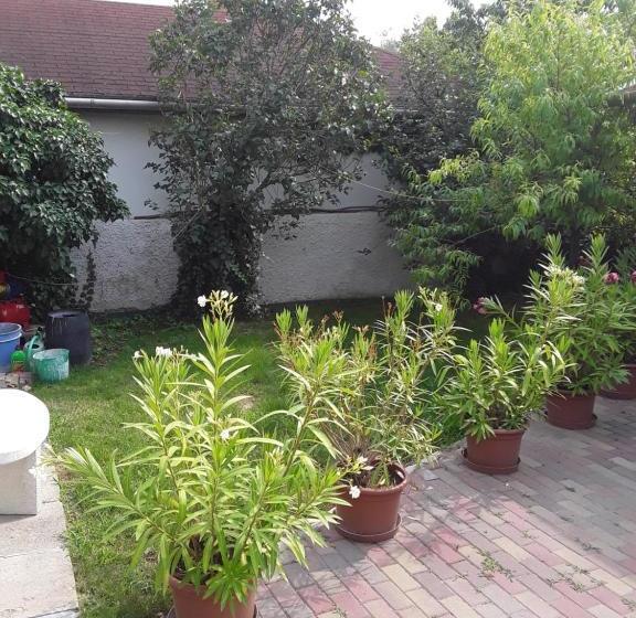 펜션 Mária Vendégház