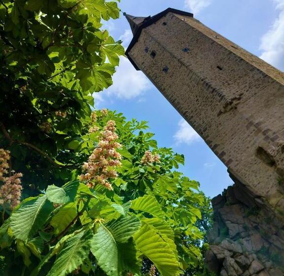 펜션 Penzion David