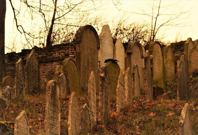 펜션 Penzion David