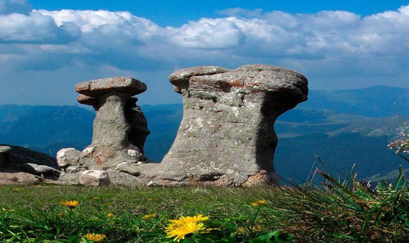 פנסיון Casa Katalina 2