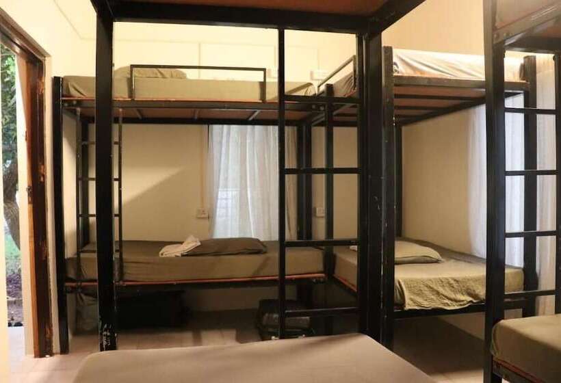 هاستل Katsura Varkala