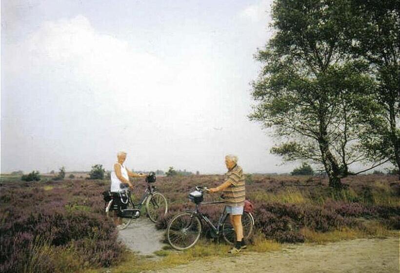 Курорт Twente 6 Persons