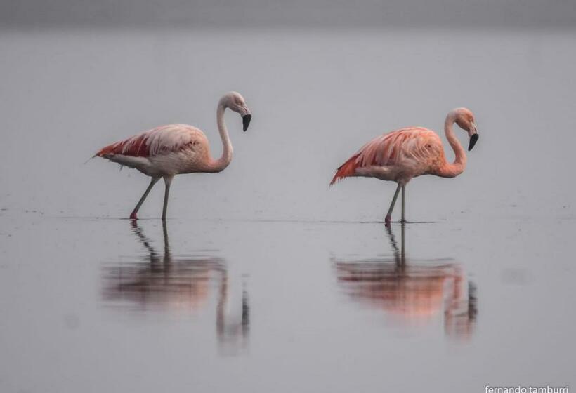 Vagamundo Hostel Carhue