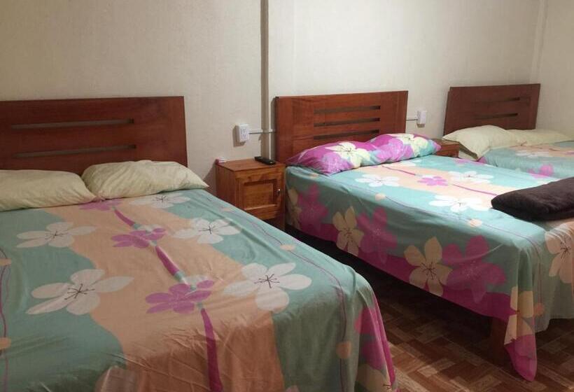 旅馆 Casa Jhada Xilitla