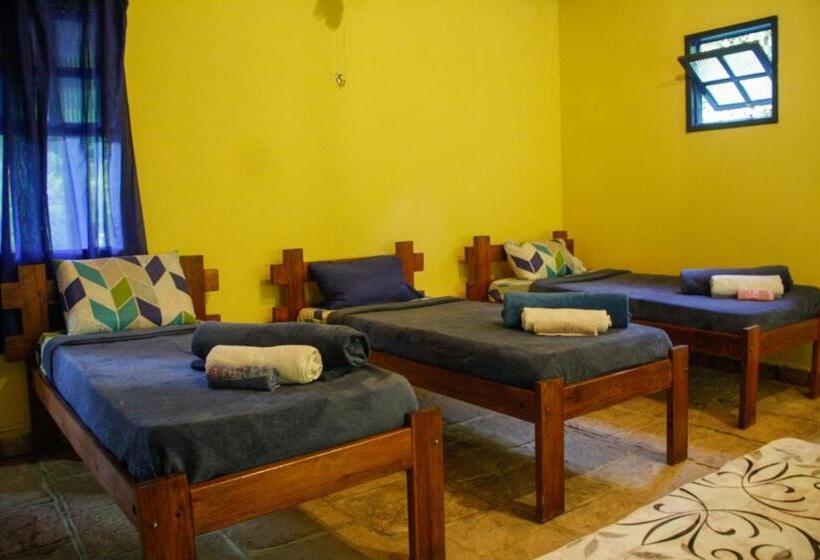 הוסטל Espaço Vaidya Ayurveda Pousada