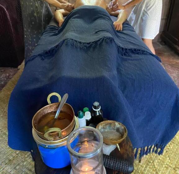 הוסטל Espaço Vaidya Ayurveda Pousada