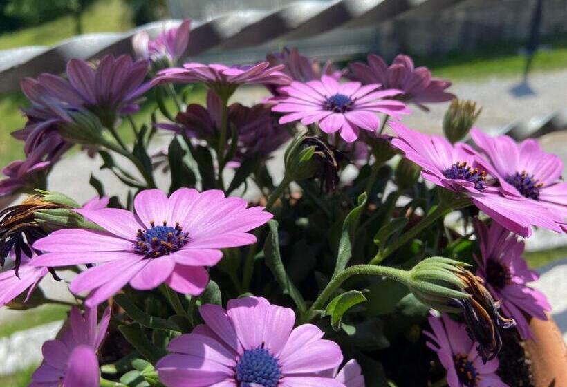 הוסטל Gran Osteria Tre Noci