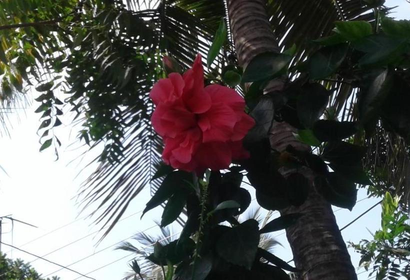 Общежитие York Inn