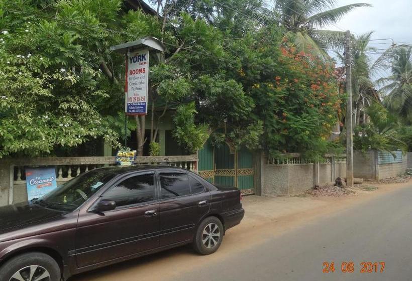 Общежитие York Inn