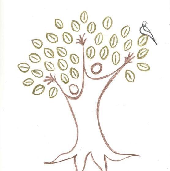 Artemisia Negli Ulivi B&b