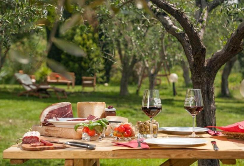 Artemisia Negli Ulivi B&b