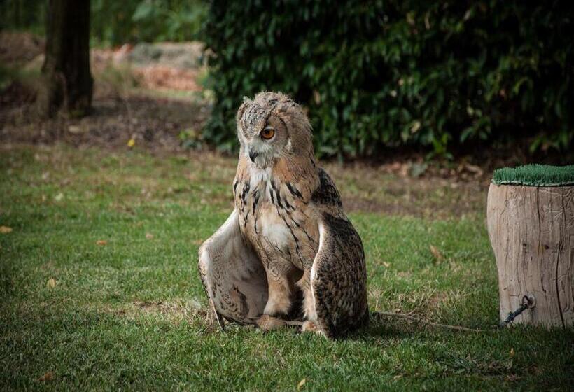 هتل Agriturismo Il Falco
