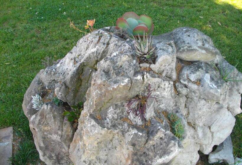 هتل Agriturismo Il Falco