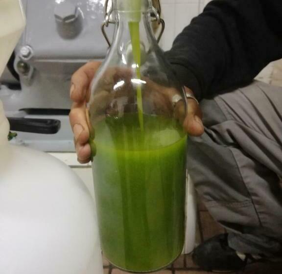 בית מלון כפרי Agriturismo Montereggi