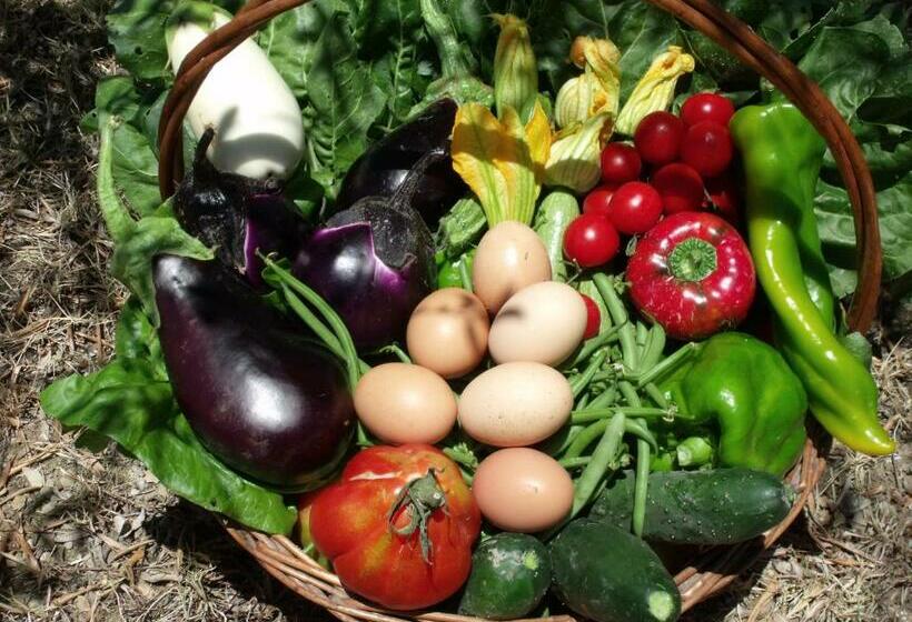 בית מלון כפרי Agriturismo Montereggi