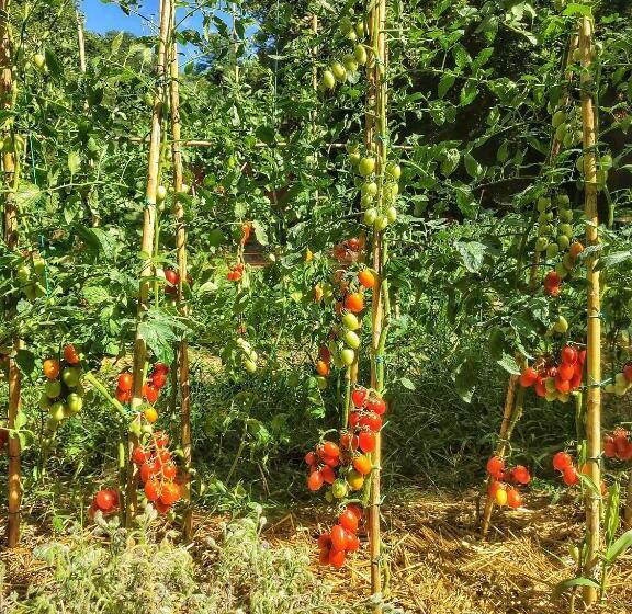 ホテル Agriturismo Podere Santa Rita