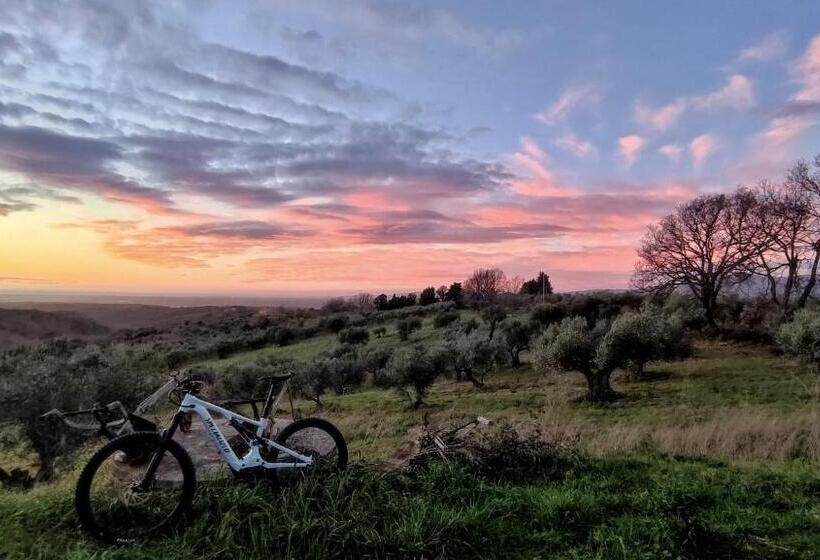 ホテル Agriturismo Podere Santa Rita