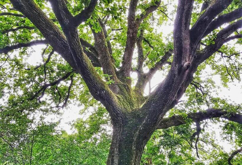 ホテル Agriturismo Podere Santa Rita