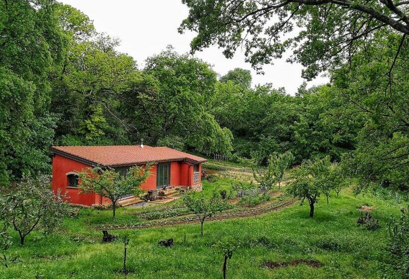 ホテル Agriturismo Podere Santa Rita