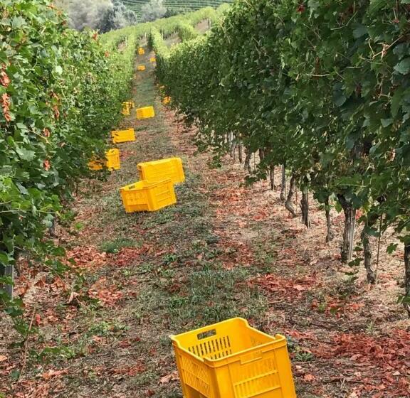 فندق Agriturismo Tre Stelle