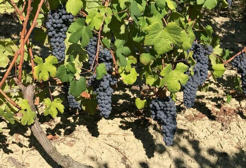 فندق Agriturismo Tre Stelle